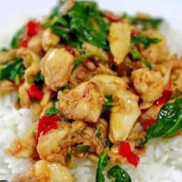 ข้าวราดผัดกระเพราไก่