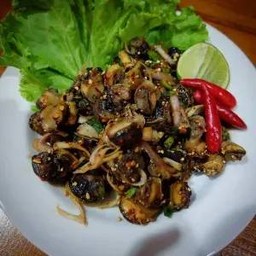 กัอยหอยโข่ง