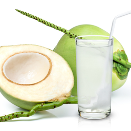 W11 น้ำมะพร้าวสด