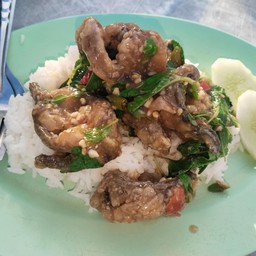 กระเพาปลาดุกทอด