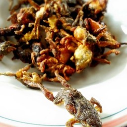 เขียดทอด