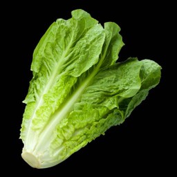 ผักคอส 50g.