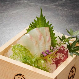 Madai sashimi