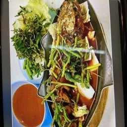 แป๊ะซะปลาช่อน