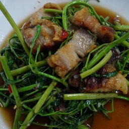 ผัดกระเฉดหมูกรอบ