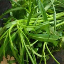 ผัดผักบุ้งหมูกรอบราดข้าว