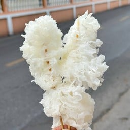เห็ดหูหนูขาว