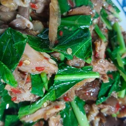 ข้าวราดคะน้าขาหมู