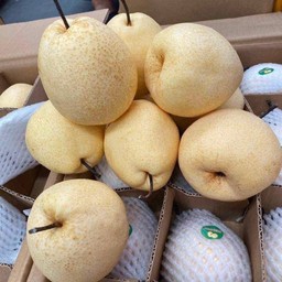 สาลี่ 2 ลูก