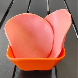 โบโลน่า