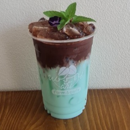 โกโก้มินต์