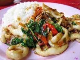 กระเพราปลาหมึกราดข้าว