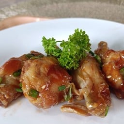 เฮอคิวริส-เป็ดเท็กซัส