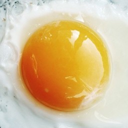 1 Fried Egg