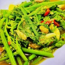 ผักยอดมะระไฟแดง