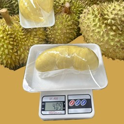 ทุเรียนหมอนทอง 400 - 430 กรัม