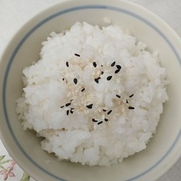 ข้าวญี่ปุ่น