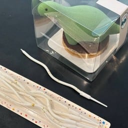 เทียนแท่งยาว 1 เล่ม