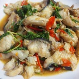 กระเพราปลาคัง