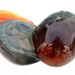 ไข่เยี่ยวม้า