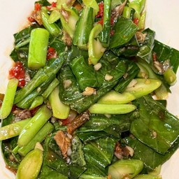 ผัดคะน้าน้ำมันหอย กับข้าว