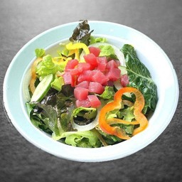 MAGURO SALAD/สลัดมากุโร่