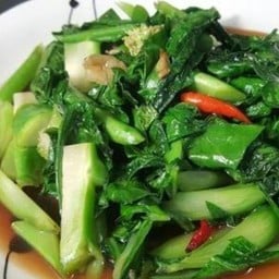 ผัดคะน้าน้ำมันหอย