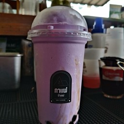 เผือกนมสด