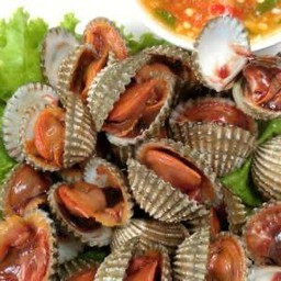 หอยแครงลวก