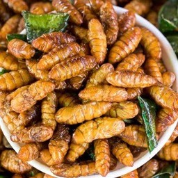 หนอนไหม(ดักแด้)ทอด
