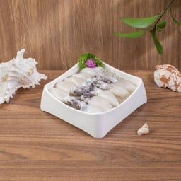 ปลาหมึกกระดองเจาะ