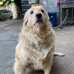 แวะติปน้องก้อนได้นะคะ