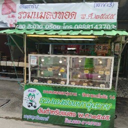 รวมแมลง แยกวุ่นวาย