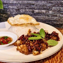 กระเพรา&ไก่กรอบ