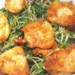 ต้นอ่อนผัดเต้าหู้