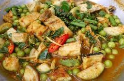 แกงป่าปลาช่อน