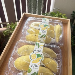 ทุเรียนหมอนทองหนองไผ่ ขอนแก่น