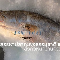 AOWTHAI