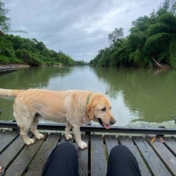 Baan Rai Darun Home Stay and Scenery Raft (บ้านไร่ดารัณ)
