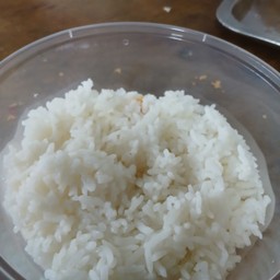 ข้าวป่าว