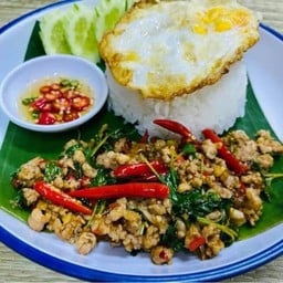 กะเพราหลังบ้าน