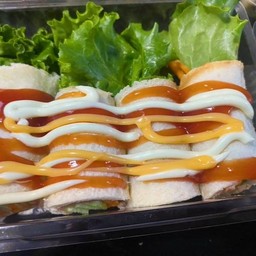 โบโลน่า