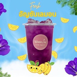 อัญชันเลมอน