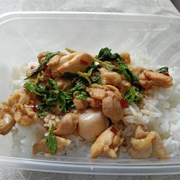 กะเพรากล่อง