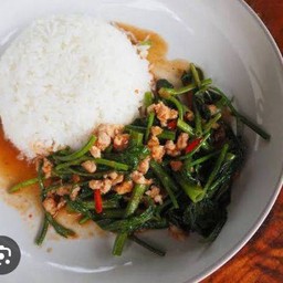 ผัดผักบุ้งราดข้าว