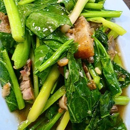 คะน้า