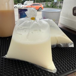 นมสดแท้ ร้อน