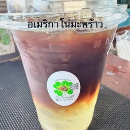 อเมริกาโนมะพร้าว