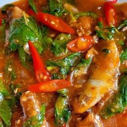 กระเพราปลากระป๋องราดข้าว