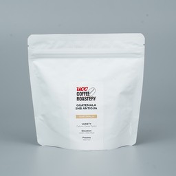 Guatemala SHB Antigua 100G